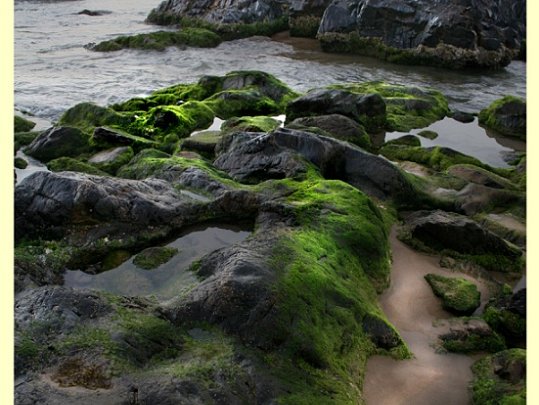 CoffsHarbour-NSW