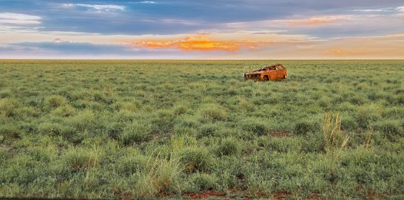 Darwin-BarklysHS-NT-_4676-2