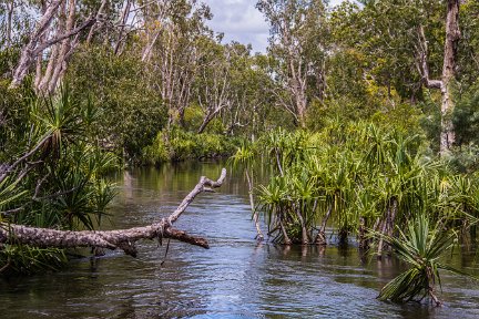 Katherine2Darwin-NT-4570