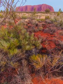 Uluru2AliceNT-4184