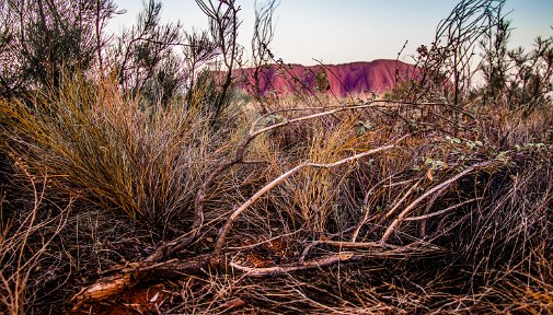 Uluru2AliceNT-4214-2