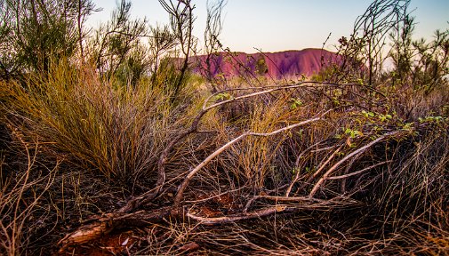 Uluru2AliceNT-4214