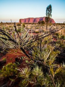 Uluru2AliceNT-4223