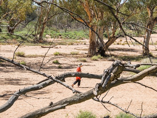 Simpson Gorge NT