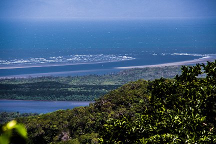 DaintreeQ-4215