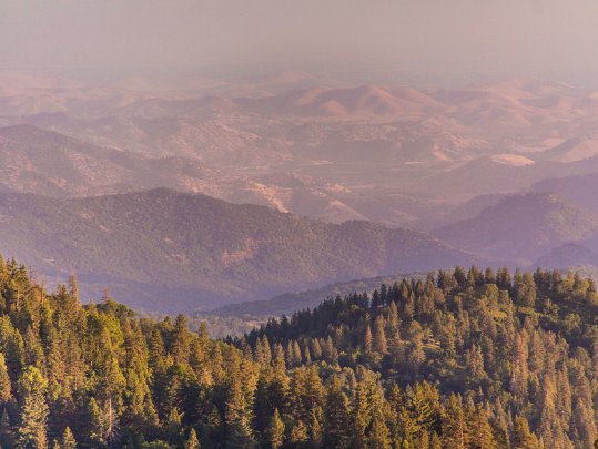 Sequoia - Kings Canyon