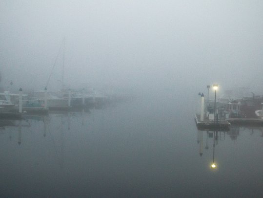 Jan-2023-Fog