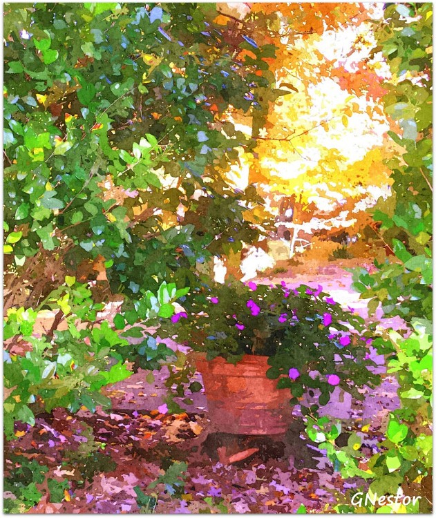 1-FotoSketcher - P1011012-1_jpg between yards-01 